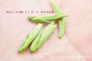 2012²̲̲̬г鲻ϸ