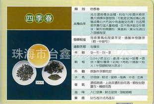 TEA-010台湾四季春茶台湾高山茶欢迎批发,团购.量大可议