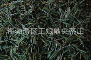 ҷ˱ζŨɽë