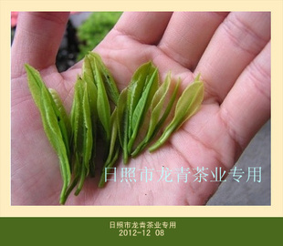 ̲2013´衢ֱúȲζŨ