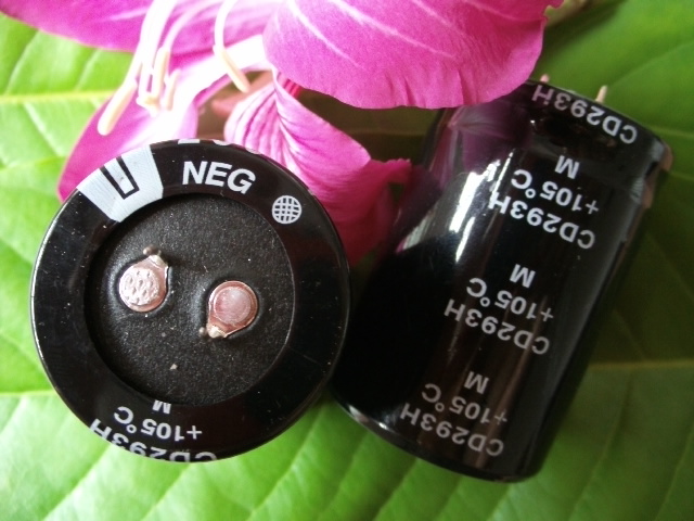 CD293Hţǵ