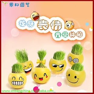 ſ顽ͷް칫ҼҾֲ辰ɲͷ