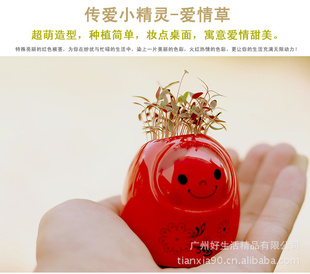 生态E园正品传爱陶瓷植物盆栽办公用品