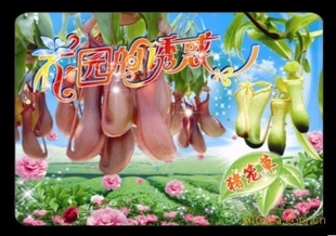 GG038A԰ջĻ԰Ź΢辰