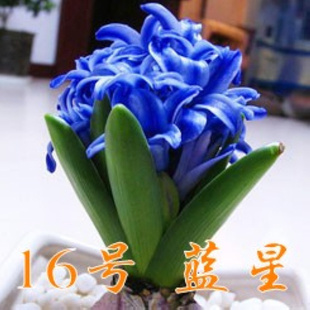 2013ֻڷˮֲɴװ18Ʒ
