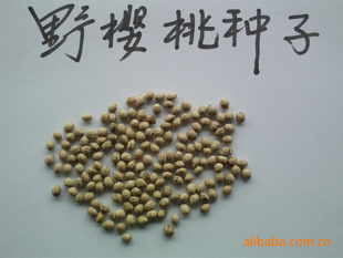 2012²ɽӣңҰӣң——ӣӣ