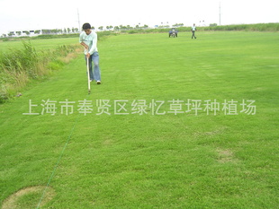 2012Ϻƺֲ²