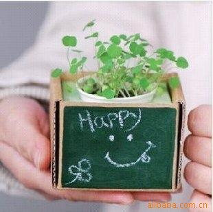 ֱDIYֲֲԤ˲