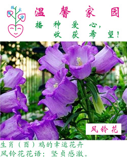 廨ĻܻФ˻