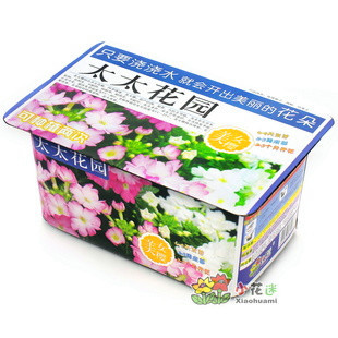 ֲ辰ũ̫̫԰DIYֲװ