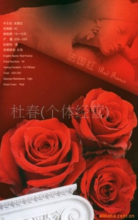 ѡ޷õ編õ紿õ廨