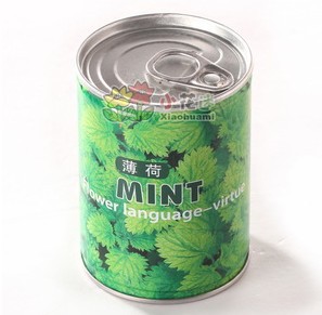 ޻-ֲ칫ֲ΢ͻ辰