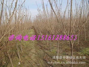 ӣӣľȡ(ͼ)