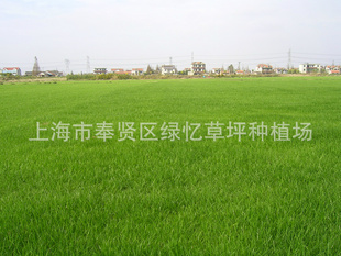 ϺƺֲƷ֣ˡĽ첥