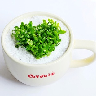 Ȳֲܰ˽ڱرƷ鿧ȱ㣩辰
