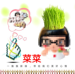 ſͨͷDIYֲԴ⹤Сڼ
