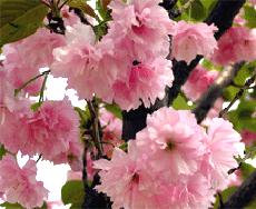 ӣӺӣѨӣҶӣС13837483656