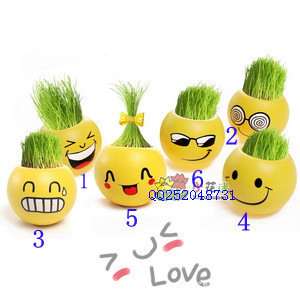 شֲЦֲſ