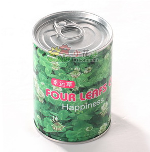 ޻-˲칫ֲ΢ͻ辰