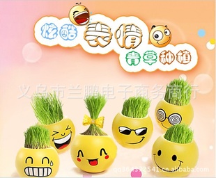 鳤ް칫ֲDIYֲؼ