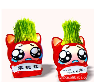 ͨͷDIYֲԴ⹤Сڼ