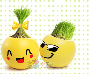 DIYֲϵֲݳ