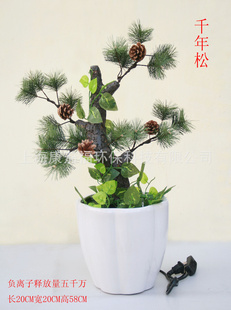 辰/Ҿ辰/辰/辰ͨȥζ/