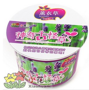 һƷŹֲϵ-޹²ʻ칫ֲﻨ΢