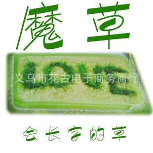 ΢ԲӸֲֲ辰Ʒħ
