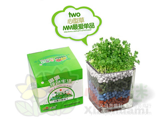 βݸӶֱֲֲֲ̼