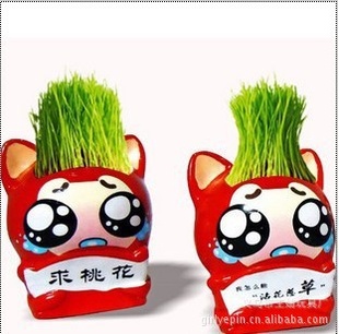 ¿ͷDIYֲֲ辰