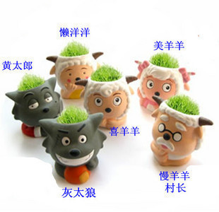 ϲ/ֲմ辰/칫ֲ̯
