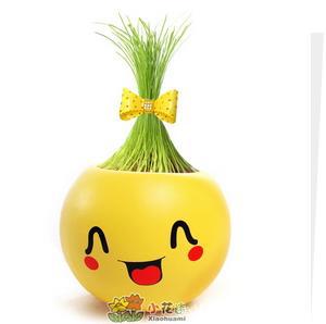ɰſ鴴ƷDIY԰ղСϵ