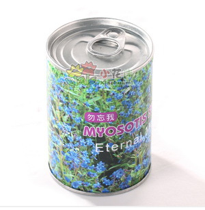 ޻칫ֲ΢ͻ辰