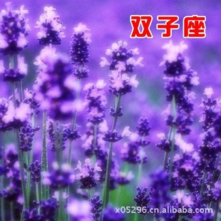 ʮħDIYֲֲװ췢192g