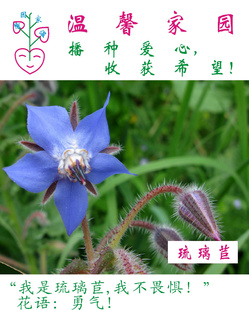 ˻ֲܻϵ