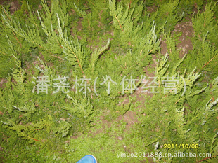ľ硢硢С硢ؼ۸
