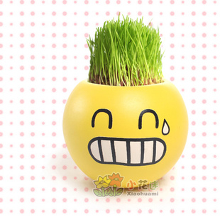 冒汗炫酷表情青草种植青草盆栽地摊货源草娃娃批发小白人