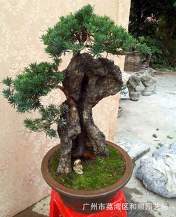 B030ȸ޺辰Сʺϰڷ