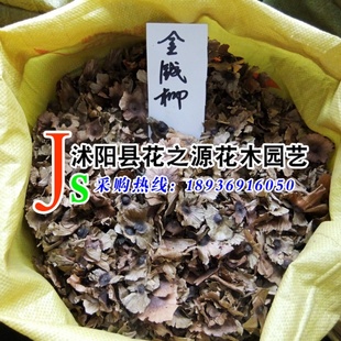 ӣǮͭǮҡǮ