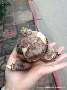 ˮ໨ܴڿˮɻһ