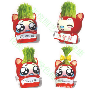 DIYֲֲ辰