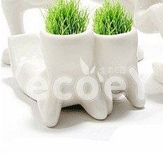 Xħֲ