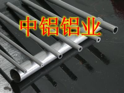޷Ͻ2024