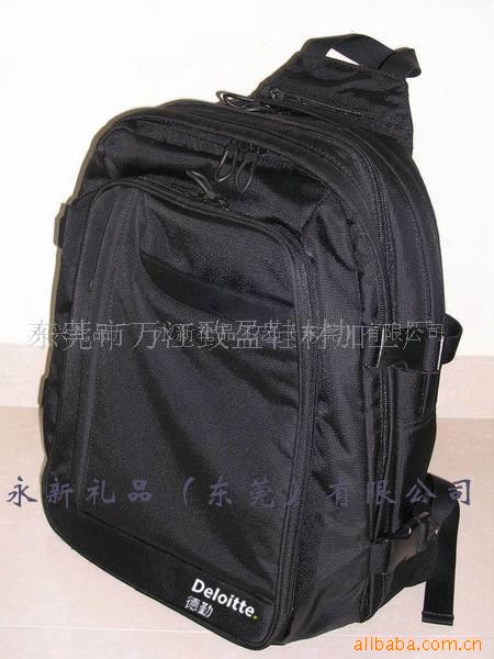 旅行包电脑背包(图)