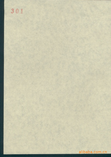 ҿֽ301