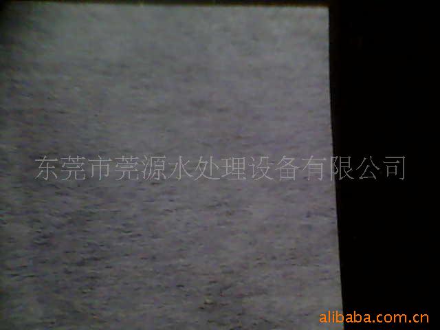 麣ɽˮֽ