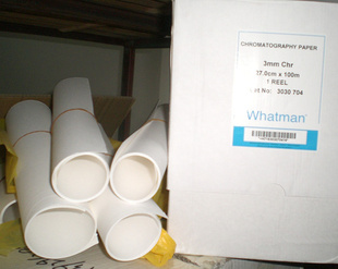 Whatman-3mmֽ3030-704/1/