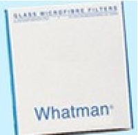 ձWhatman(åȥޥ)饹SV