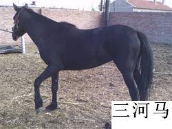 糣۸ɹѪ